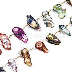 Chaînes de perles de perles d'eau douce naturelles faites à la main, non soudée, avec les accessoires en laiton plaqués or, teinte, avec bobine, colorées, 15.5~21x8.5~13x4~8.5mm, environ 16.4 pied (5 m)/rouleau