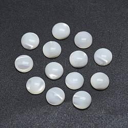Shell Cabochons, Flachrund, 6x2~2.5 mm