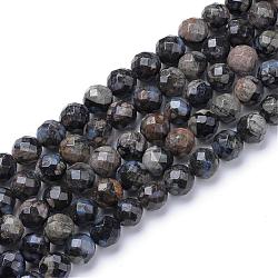 Chapelets de perles en labradorite naturelle, ronde à facettes, 10mm, Trou: 1mm, Environ 40 pcs/chapelet, 15.7 pouce
