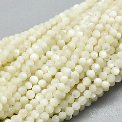 Cuentas de concha naturales blancos mechones, Madre perla cuentas de concha, redondo, 2mm, agujero: 0.5 mm, aproximamente 195 pcs / cadena, 15.35 pulgada (39 cm)
