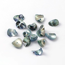 Perles de coquille naturels, teinte, bleu minuit, taille: environ 12~22 mm de long,  largeur de 10~22 mm, épaisseur de 2~4mm, Trou: 2mm, environ 920 pcs/500 g