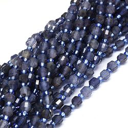Perles naturelles Iolite brins, avec des perles de rocaille, facette, Toupie, perles de prisme à double pointe, 5~7x6mm, Trou: 0.8mm, Environ 48 pcs/chapelet, 15.55 pouce (39.5 cm)