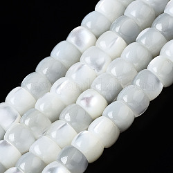 Fili di perle di conchiglia trochid naturale / trochus, colonna, candeggiare, colore conchiglia, 4x3mm, Foro: 0.8 mm, circa 138~140pcs/filo, 15.94 pollice (40 cm)