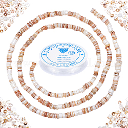 PandaHall Elite DIY Stretch Bracelets Making Kits, Including 3 Strands Nuggets Shell Beads, 1 roll Elastic Crystal Thread, Antique White, 4.9~6x0.4~6mm, Hole: 1.4mm, about 15.94 inch~16.14 inch(40.5~41cm)