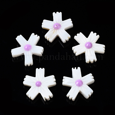 Perles de coquillages naturels d'eau douce&nbsp;SHEL-N003-19E-1