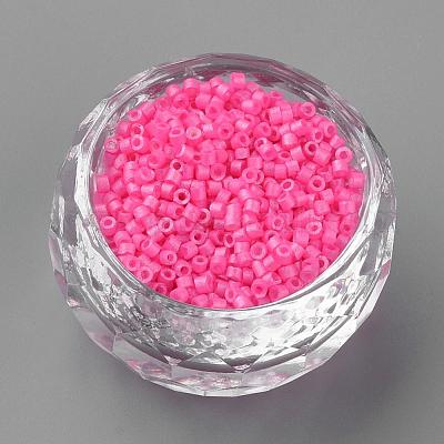 Выпечка окрашенные стеклянные стеклянные бусины SEED-R042-10-1