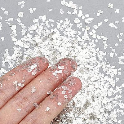 雲母の断片ネイルアートデコレーションアクセサリー ネイルロック