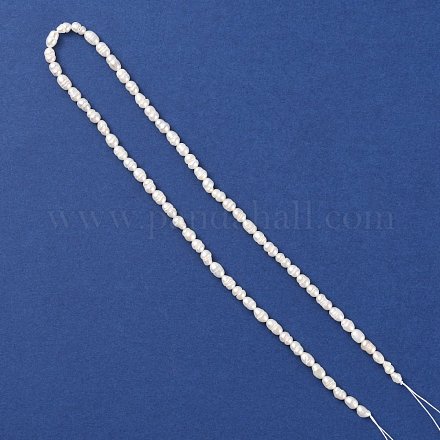 Natural Freshwate Pearl Beads Strands PEAR-WH0003-01-1