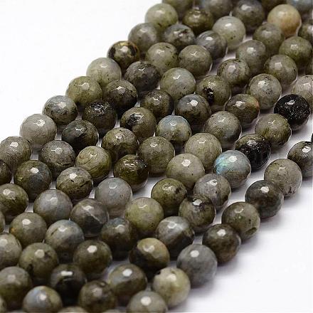 Faceted Natural Labradorite Beads Strands G-F364-17-10mm-1