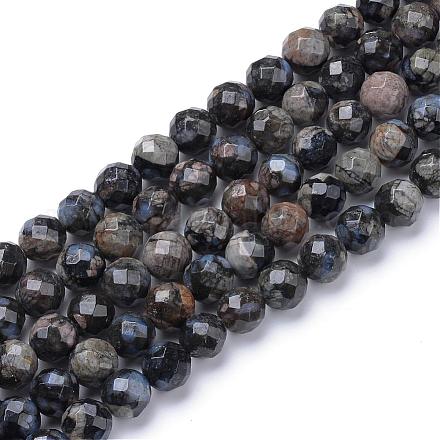 Chapelets de perles en labradorite naturelle G-R411-08-10mm-1