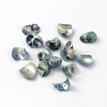 Perles de coquille naturels BSHE-S002-1-1