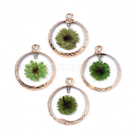 Transparent Clear Epoxy Resin & Dried Flower Pendants RESI-S383-076B-A03-1