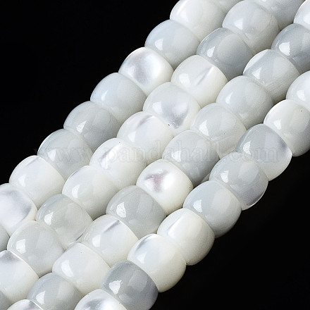 Chapelets de perles de coquille de trochid / trochus coquille SSHEL-S266-018A-01-1