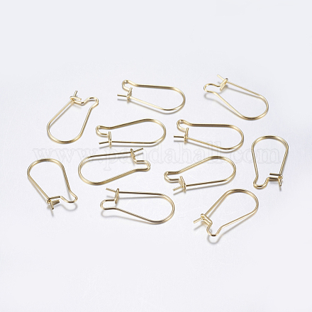 304 Stainless Steel Hoop Earrings X-STAS-L198-15B-G-1