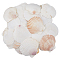 500G Natural Shell Ornaments, Shell Shape, Micro Landscape Fish Tank Decoration, Seashell Color, 50~85x50~85x10~10.5mm, about 32pcs/500g