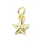 Brass Micro Pave Clear Cubic Zirconia Charms, Cadmium Free & Nickel Free & Lead Free, Star, 10x7.5x2mm, Hole: 3mm
