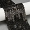 Natural Obsidian Beads Strands, Heart, 5.5~6x6x2.5mm, Hole: 0.7mm, about 70pcs/strand, 14.80''(37.6cm)