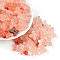 Transparent Acrylic Beads, Quatrefoil, Light Salmon, 16.8x17x5.8mm, Hole: 1.8mm, about 714pcs/500g