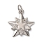 Brass Micro Pave Clear Cubic Zirconia Pendants, Star, with Jump Ring, Long-Lasting Plated, Cadmium Free & Lead Free, Rack Plating, Platinum, 17x15.5x2.5mm, Hole: 3mm