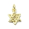 Brass Micro Pave Clear Cubic Zirconia Charms, Cadmium Free & Nickel Free & Lead Free, Star of David, 14x10x2mm, Hole: 3mm