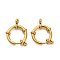 304 Stainless Steel Spring Ring Clasps, Golden, 24x18x4.5mm, Hole: 3mm & 13mm