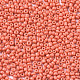Glass Seed Beads SEED-S060-A-F419-3