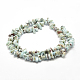 Natural Larimar Beads Strands X-G-P302-03-2