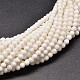 Natural Gemstone Beads Strands G-P072-25-12mm-1