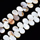 Eau douce naturelle de coquillage perles brins SHEL-Q024-007-1