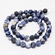 Natural Sodalite Beads Strands X-G-D691-8mm-2