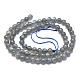 Natural Labradorite Beads Strands X-G-O186-E01-4mm-2