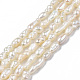 Natural Cultured Freshwater Pearl Beads Strands X-PEAR-N012-02F-3