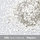 Olycraft Glimmer Fragment Nail Art Dekoration Zubehör MRMJ-OC0001-88-2
