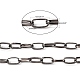 Cadenas de clip de hierro X-CH-R025-13x6mm-B-5