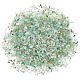 AHANDMAKER 200g Natural Green Aventurine Chip Stone Beads G-GA0001-47-1