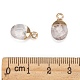 Electroplate Natural Quartz Crystal Charms G-S344-09H-4