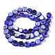 Chapelets de perles de coquille de trochid / trochus coquille SHEL-S258-083-B03-2