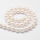 Cuentas perlas de concha de perla X-BSHE-L026-03-8mm-3