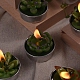 Kaktus Paraffin rauchfreie Kerzen DIY-G024-E-8