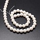 Chapelets de perles de coquille X-BSHE-E008-6mm-12-2