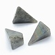 天然石ラブラドライトビーズ  コーン  ドリルなし/穴なしビーズ  三角形  25~28x14x14.5mm G-E490-D04-1