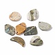 Natural Polychrome Jasper/Picasso Stone/Picasso Jasper Pendants G-B030-24-1