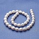Natural Cultured Freshwater Pearl Beads Strands PEAR-P060-28B-01-2