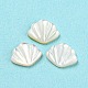 Cabochoni naturali di shell marini SHEL-D079-17-2