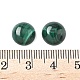 Природные кабошон малахита G-S398-01A-02-3