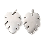Подвески из нержавеющей стали 304 STAS-Z042-01P