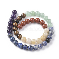 Chakra-Thema: natürlicher roter Regenbogen-Jaspis G-F668-23-8mm