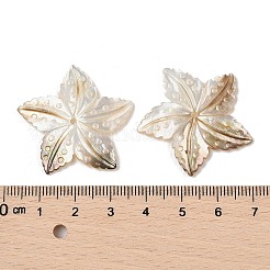 Оболочки губ натуральный черный подвески SHEL-R100-10A