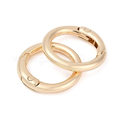 Застежки из сплава с пружинным затвором FIND-H012-05KCG