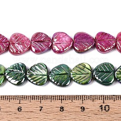 Нити резных бусин из натуральных пресноводных ракушек SHEL-N038-24